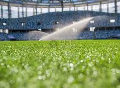 镜报独家,曼联传奇射,手坚定力挺,九游娱乐官网玩家首选,九游娱乐官网,九游娱乐官网游戏平台